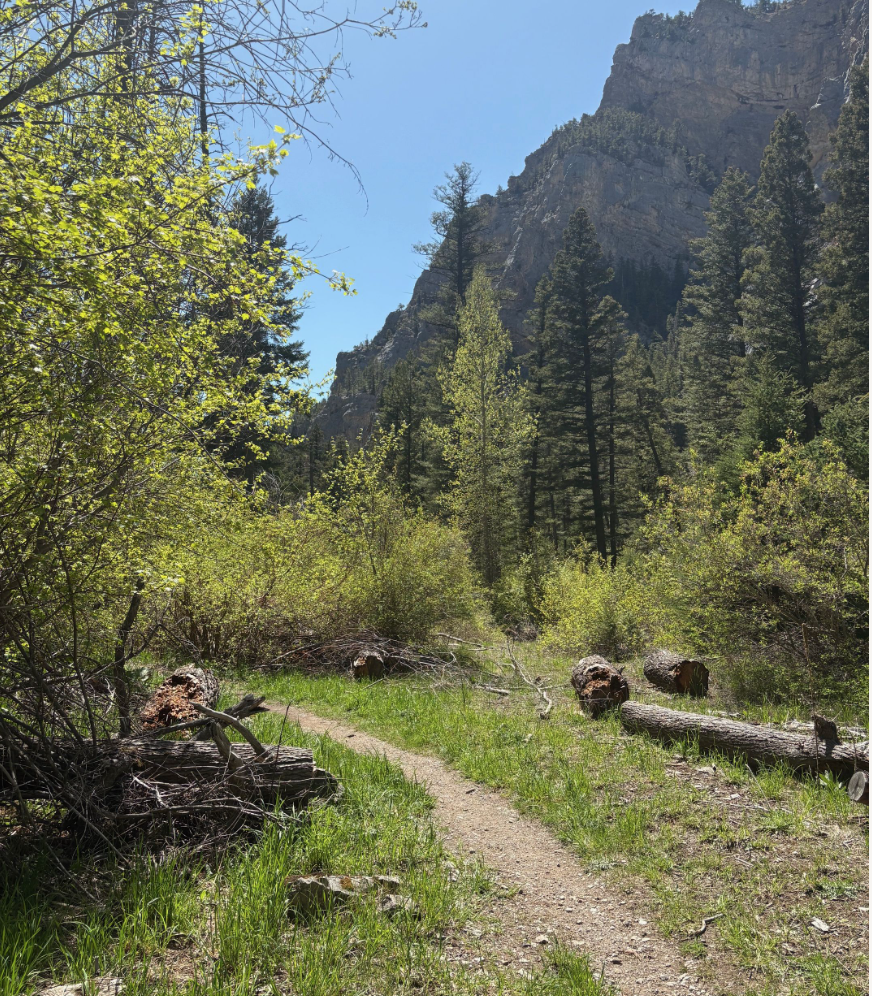 BLM and Forest Service overhauls as fire season looms